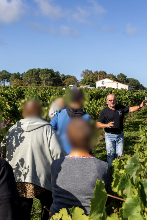 Visite du vignoble & dégustation 🍇 
