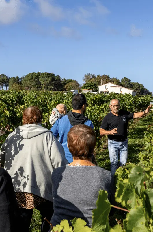 Visite du vignoble & dégustation 🍇