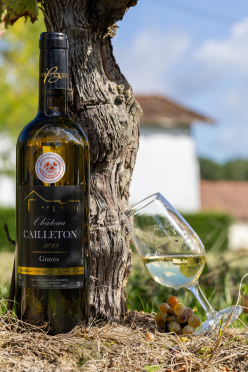 Cailleton Blanc Sec 2024
