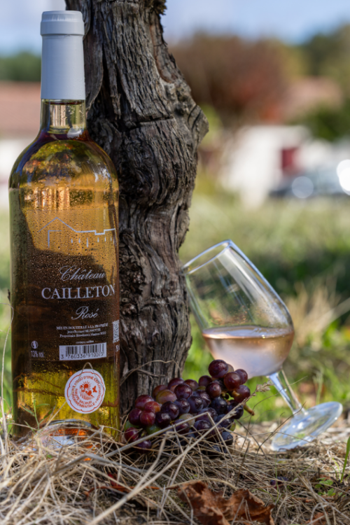 Cailleton Rosé 2025