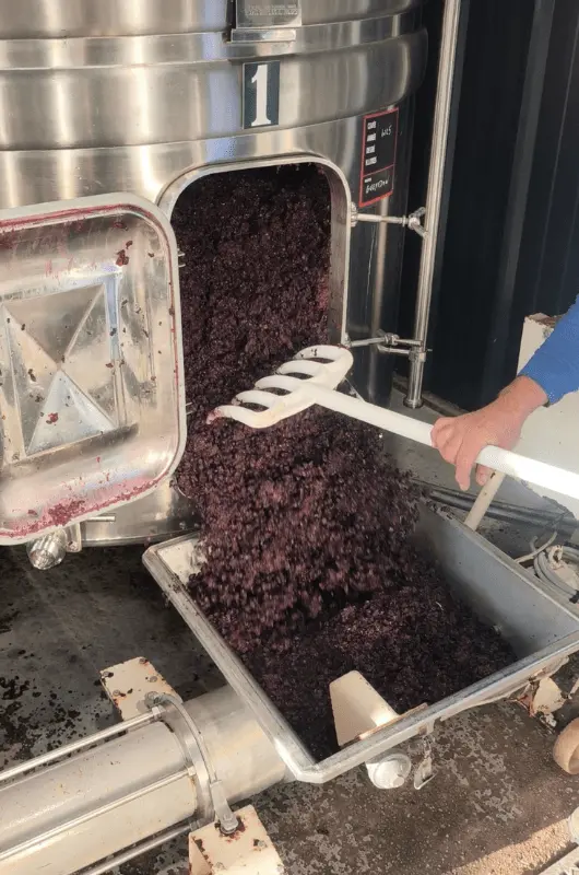 rappe-rouge-chateau-cailleton-min