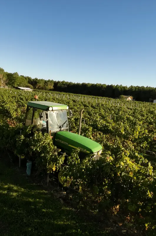 tracteur-vigne-chateau-cailleton-min