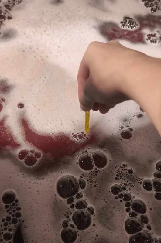 vendange-rouge-chateau-cailleton-min